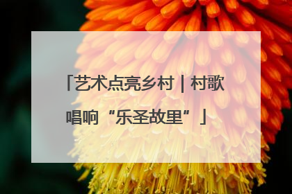 艺术点亮乡村｜村歌唱响“乐圣故里”