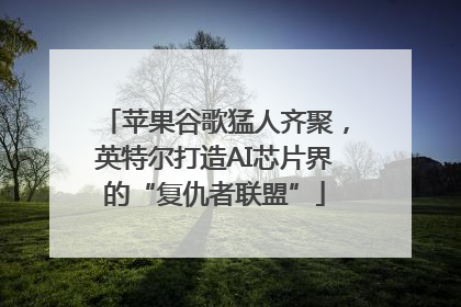 苹果谷歌猛人齐聚，英特尔打造AI芯片界的“复仇者联盟”