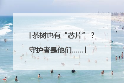 茶树也有“芯片”？守护者是他们……