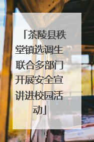茶陵县秩堂镇选调生联合多部门开展安全宣讲进校园活动