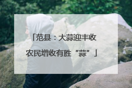 范县：大蒜迎丰收 农民增收有胜“蒜”