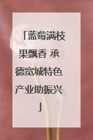 蓝莓满枝果飘香 承德宽城特色产业助振兴