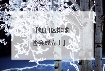 虹口区排球协会成立！