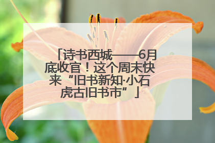 诗书西城——6月底收官！这个周末快来“旧书新知·小石虎古旧书市”