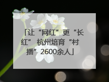 让“网红”更“长红” 杭州培育“村播”2600余人