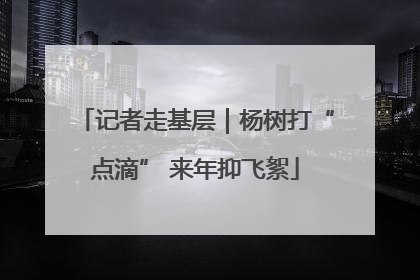 记者走基层｜杨树打“点滴” 来年抑飞絮