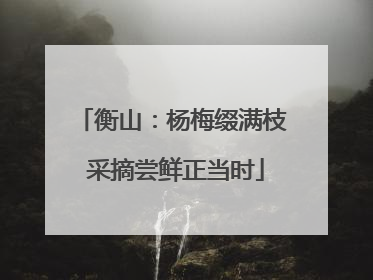 衡山：杨梅缀满枝 采摘尝鲜正当时