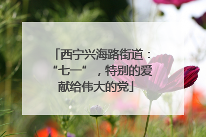 西宁兴海路街道：“七一”，特别的爱献给伟大的党