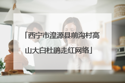 西宁市湟源县前沟村高山大白杜鹃走红网络