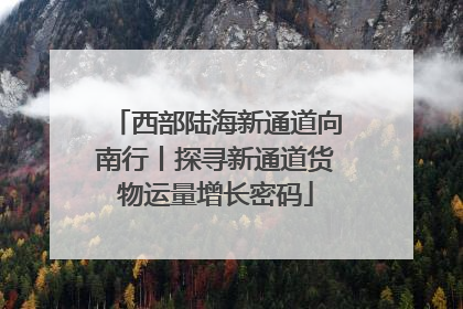 西部陆海新通道向南行丨探寻新通道货物运量增长密码