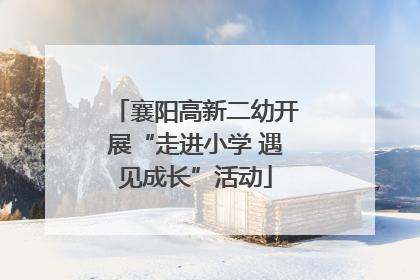 襄阳高新二幼开展“走进小学 遇见成长”活动