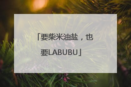 要柴米油盐，也要LABUBU