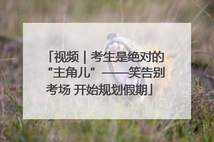 视频｜考生是绝对的“主角儿”——笑告别考场 开始规划假期