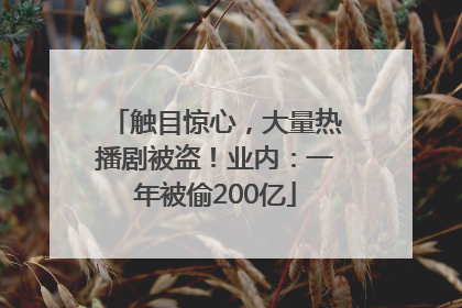 触目惊心，大量热播剧被盗！业内：一年被偷200亿