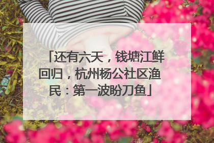 还有六天，钱塘江鲜回归，杭州杨公社区渔民：第一波盼刀鱼
