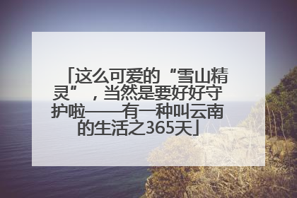 这么可爱的“雪山精灵”，当然是要好好守护啦——有一种叫云南的生活之365天