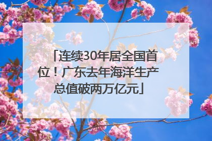 连续30年居全国首位！广东去年海洋生产总值破两万亿元