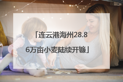 连云港海州28.86万亩小麦陆续开镰