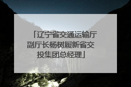辽宁省交通运输厅副厅长杨树履新省交投集团总经理