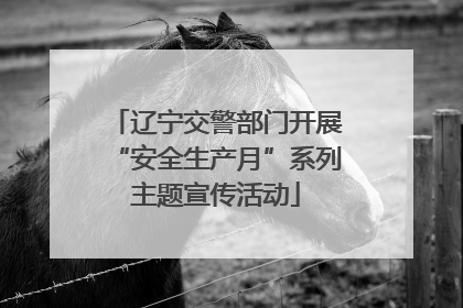 辽宁交警部门开展“安全生产月”系列主题宣传活动