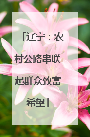 辽宁：农村公路串联起群众致富希望