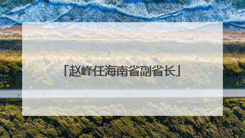 赵峰任海南省副省长