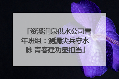资溪润泉供水公司青年班组：测漏尖兵守水脉 青春建功显担当