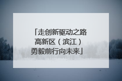 走创新驱动之路 高新区（滨江）勇毅前行向未来