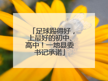 足球踢得好，上最好的初中、高中！一地县委书记承诺