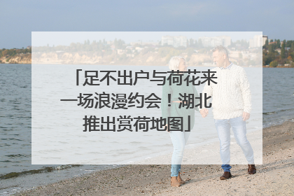 足不出户与荷花来一场浪漫约会！湖北推出赏荷地图