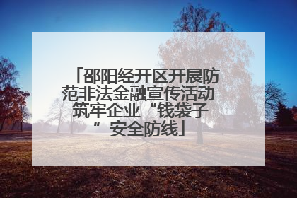 邵阳经开区开展防范非法金融宣传活动 筑牢企业“钱袋子”安全防线