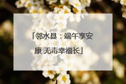 邻水县：端午享安康 无毒幸福长