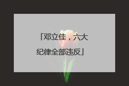 邓立佳，六大纪律全部违反