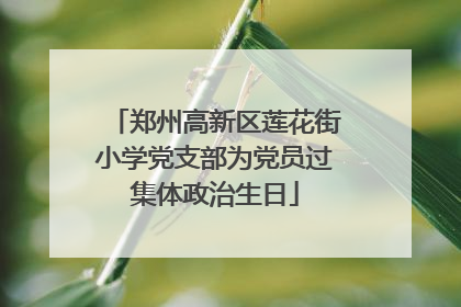 郑州高新区莲花街小学党支部为党员过集体政治生日