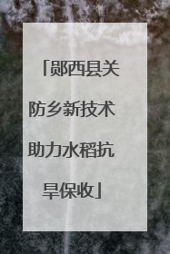 郧西县关防乡新技术助力水稻抗旱保收
