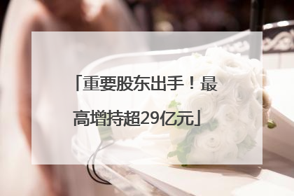 重要股东出手！最高增持超29亿元