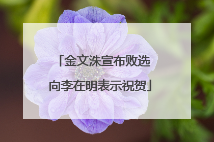 金文洙宣布败选 向李在明表示祝贺