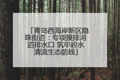 青岛西海岸新区隐珠街道：专项摸排河道排水口 筑牢碧水清流生态防线