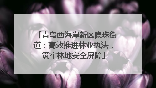 青岛西海岸新区隐珠街道：高效推进林业执法，筑牢林地安全屏障