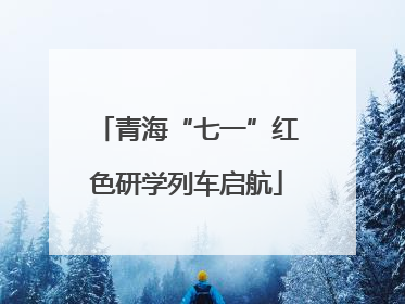 青海“七一”红色研学列车启航