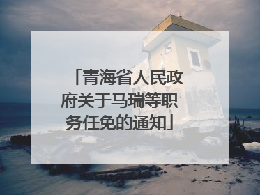 青海省人民政府关于马瑞等职务任免的通知