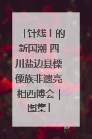 针线上的新国潮 四川盐边县傈僳族非遗亮相西博会｜图集