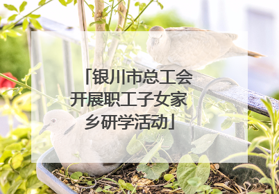 银川市总工会开展职工子女家乡研学活动
