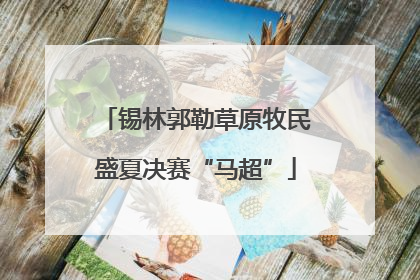 锡林郭勒草原牧民盛夏决赛“马超”