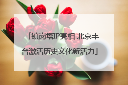 镇岗塔IP亮相 北京丰台激活历史文化新活力
