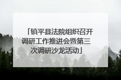 镇平县法院组织召开调研工作推进会暨第三次调研沙龙活动