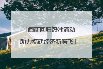 闽商回归热潮涌动 助力福建经济新腾飞