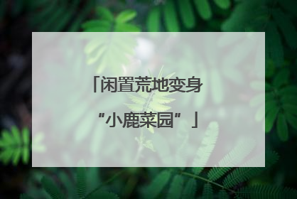 闲置荒地变身“小鹿菜园”