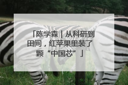 陈学森｜从科研到田间，红苹果里装了颗“中国芯”