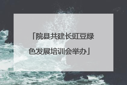 院县共建长豇豆绿色发展培训会举办